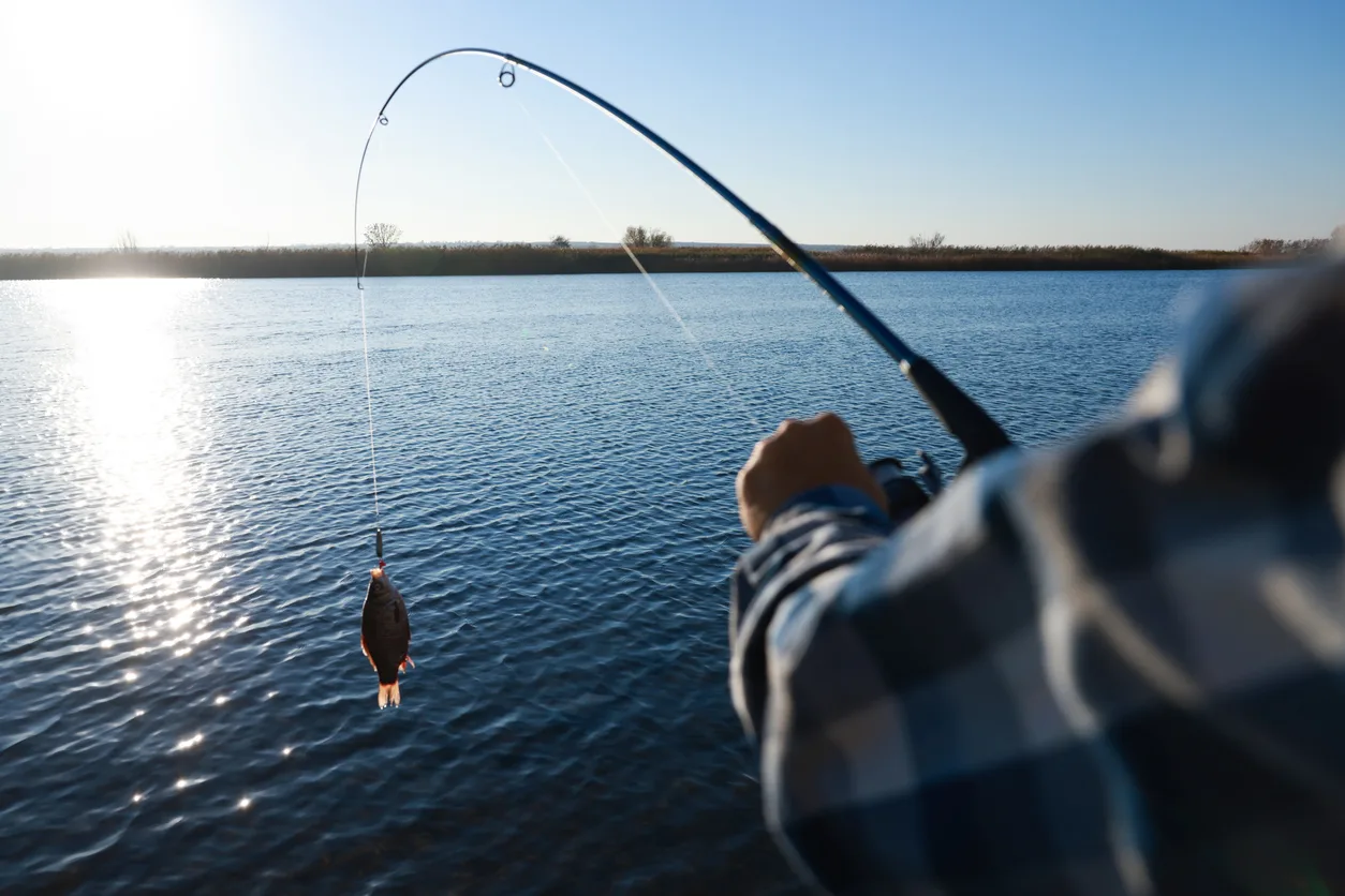 Pêche en Mer Passion, plateforme dédiée aux pratiquants de pêche en mer